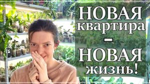 Новая ЦВЕТОЧНАЯ КОМНАТА после ПЕРЕЕЗДА. Как Сделать ОСВЕЩЕНИЕ для растений?