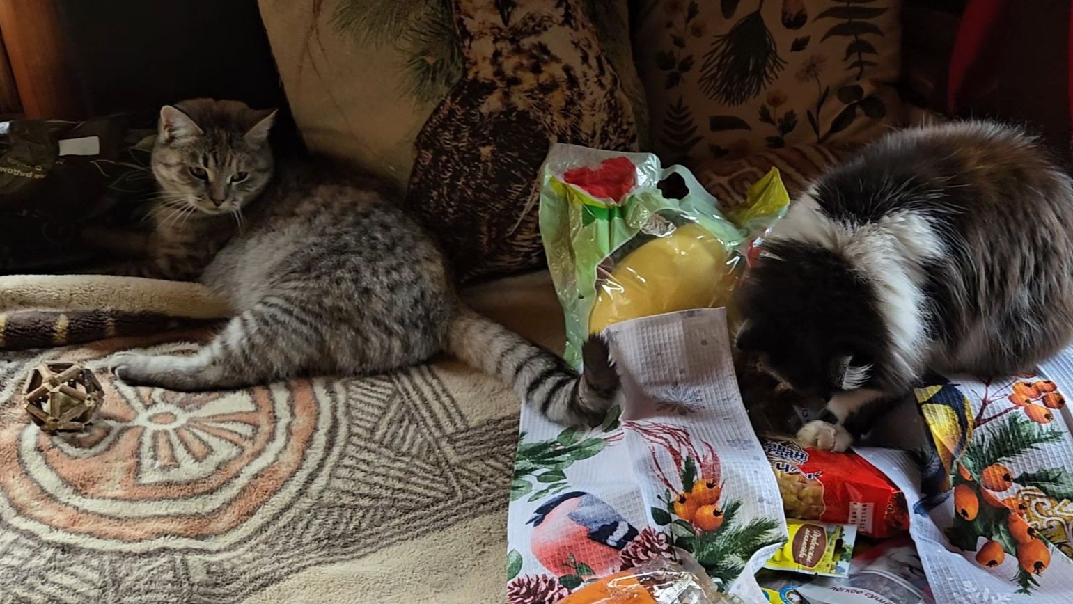 Долгожданная зима, мышка-малютка и подарки с Орхидиума смотреть онлайн