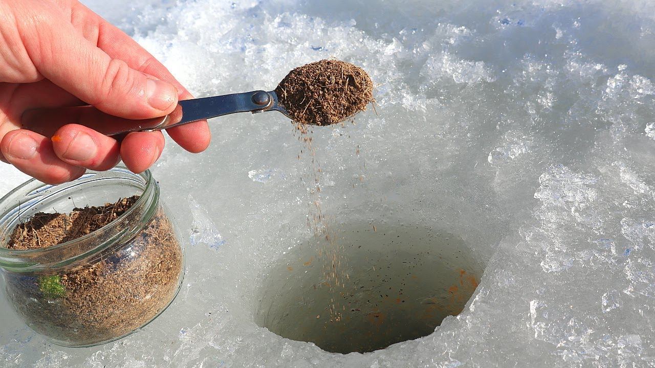 Пропускаю это через мясорубку работает лучше макухи. Карась лещ карп плотва просто тают. смотреть онлайн