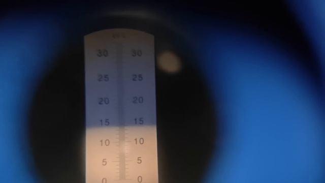 Сравнение красной и белой схемы. Хлебное вино Ржаное!!! смотреть онлайн