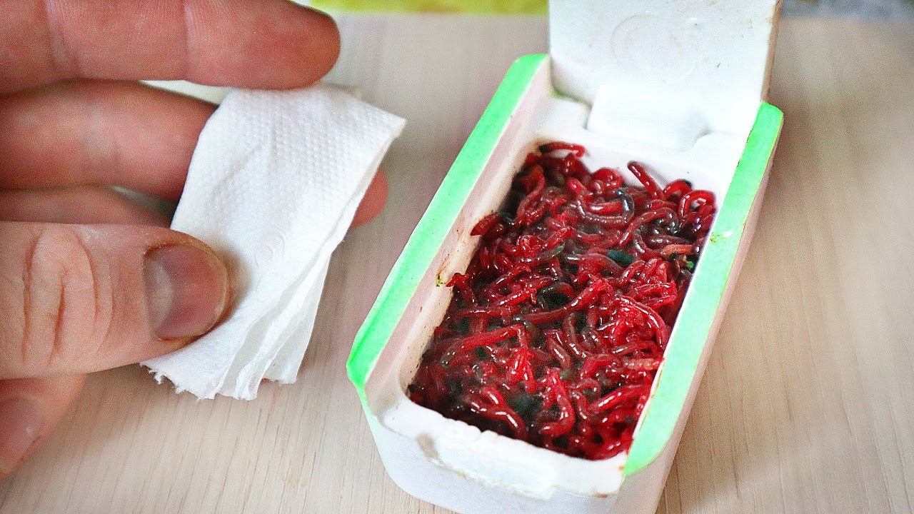 Мотыль будет максимально подвижным и стойким если положить это в мотыльницу! Мотыль для рыбалки. смотреть онлайн