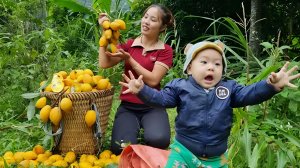 Дуонг. Мама поневоле. Собираю фрукт лекима для продажи. Кормлю домашний скот. 20 серия