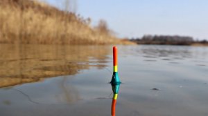 Как ловить плотву весной на поплавочную удочку? Как ловить плотву в марте апреле и мае? Плотва