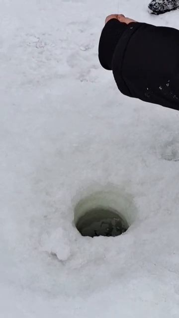 ПОПАЛАСЬ КРАСОТКА НА ПОСТАВУШКУ❗️ смотреть онлайн