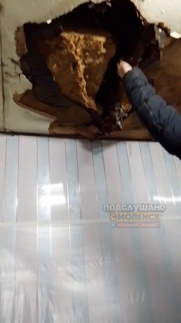 Сирота из Смоленской области продолжает жить в доме, представляющем угрозу для его жизни смотреть онлайн