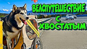 Никогда не бери ХАСКИ в велопоход!  А я взял и вот ЧТО ВЫШЛО. День 2-й