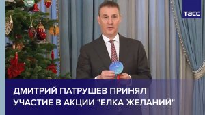 Дмитрий Патрушев принял участие в акции «Елка желаний»