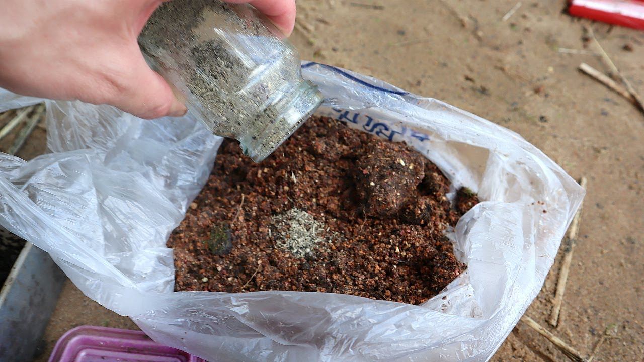 Какую прикормку использовать поздней осенью по белой рыбе. Прикормка для леща в октябре ноябре. смотреть онлайн