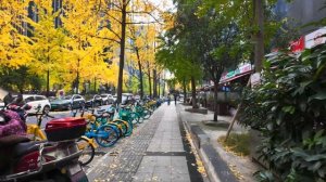 🇨🇳 Чэнду, Китай - осенняя прогулка по центральному району самого пригодного для жизни города Китая