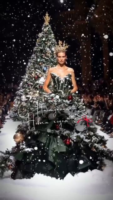 Bulyginanadezda65_1766774141856.mp4