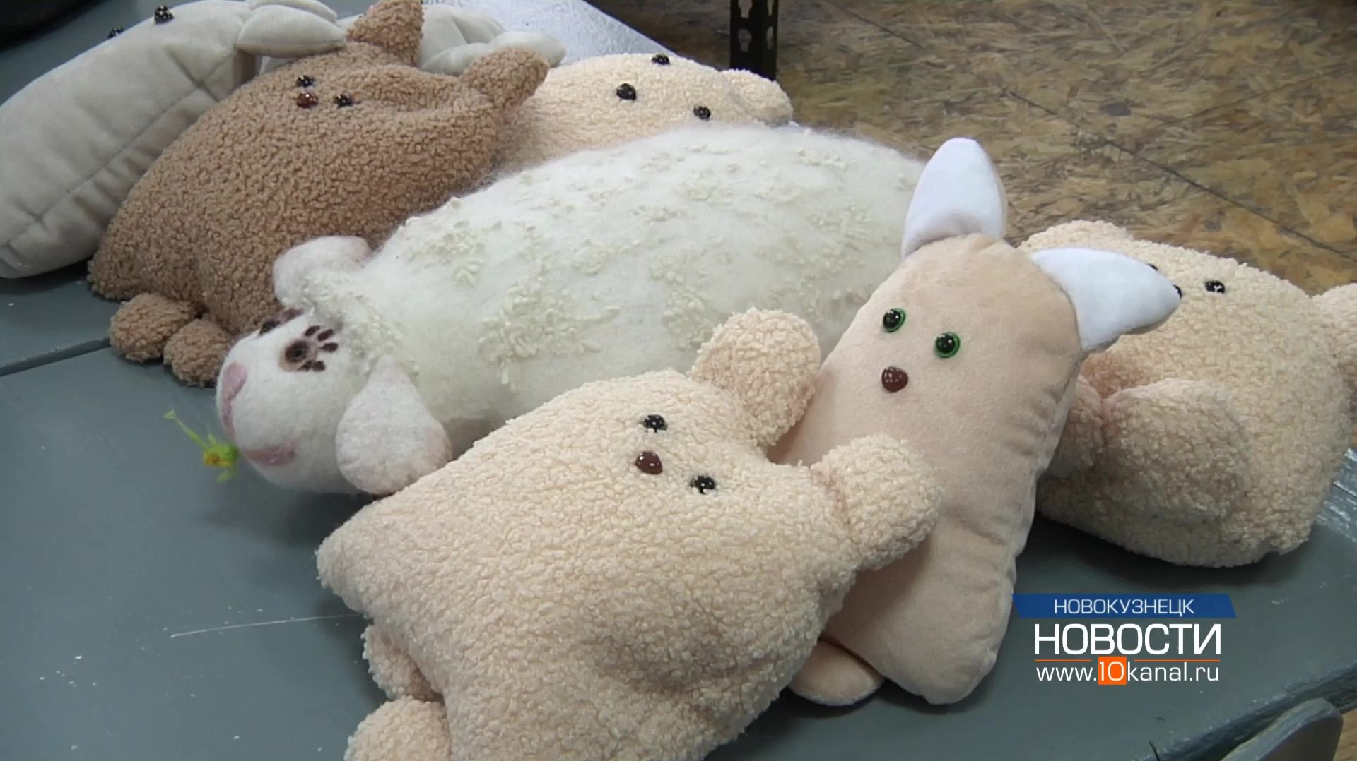 В Новокузнецке завершается проект «Тепло в каждой шерстинке» смотреть онлайн