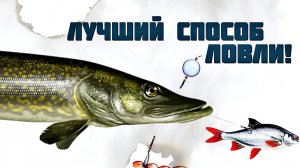 Супер способ ловить щуку на живца с помощью спиннинга! Теперь щуки в водоемах поубавится