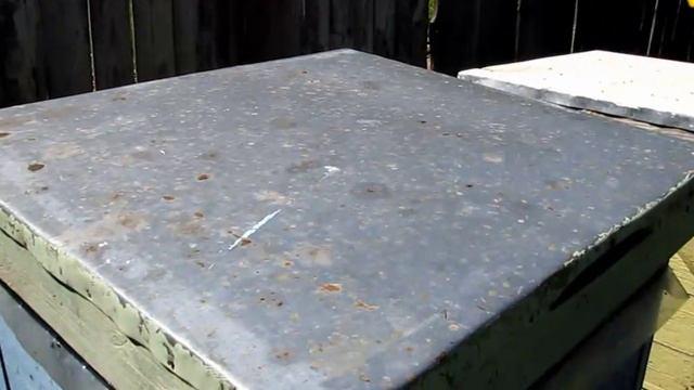 Развитие слабого отводка на новом месте(17 мая. Часть 3) смотреть онлайн