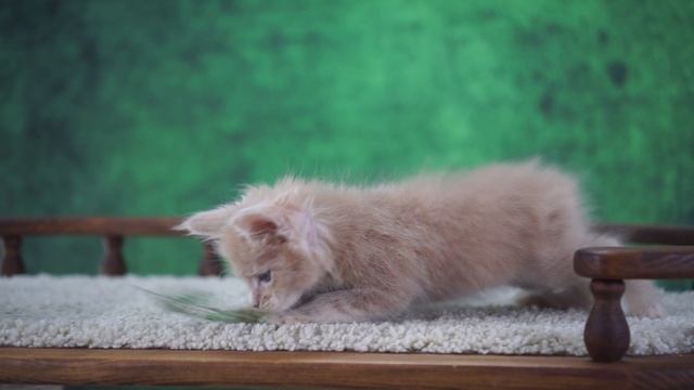 Jason 1,5 месяца смотреть онлайн