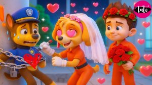 Щенячий патруль и Маршалл. Залипательное видео. Мультфильм для детей и малышей. Анимация 20