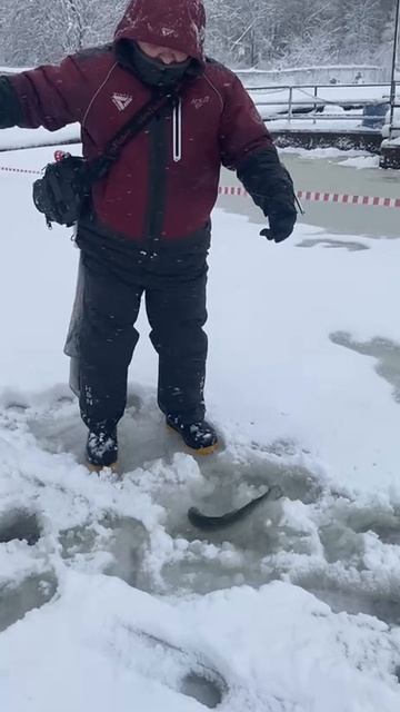 Вип зона. Актив. смотреть онлайн