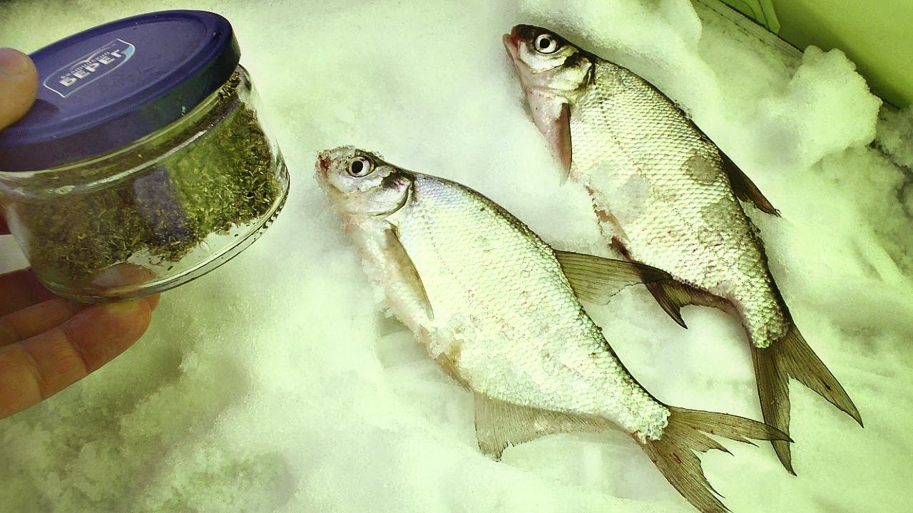 Прикормка для глухозимья. Плотва лещ, бель. Закидывать это в лунку в январе феврале и марте. смотреть онлайн