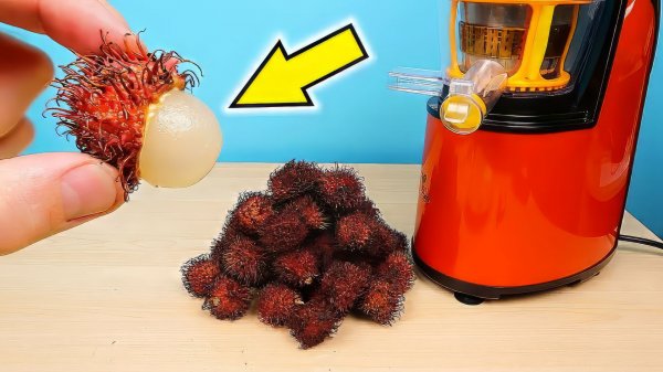 Сок из РАМБУТАНА!  Бедная соковыжималка! alex boyko