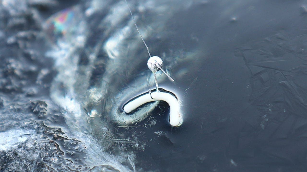 На это рыба клюет всегда зимой! Насаживаю когда ужасный клев и налавливаю 2-3 кг разнорыбицы. смотреть онлайн