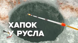 В ЛУНКЕ НЕ ДЛЯ СЛАБОНЕРВНЫХ...ПРЁТ СТАРУЮ УДОЧКУ! Крупняк на кивок и поплавок. Зимняя рыбалка 2025