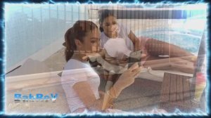 🄱🄰🄱🅁🄾🅅 🄰🄸 - 🅆🄷🄸🅂🄿🄴🅁 🄳🅁🄴🄰🄼🅂 (🄷🄰🄿🄿🅈 🄷🄾🄻🄸🄳🄰🅈🅂)