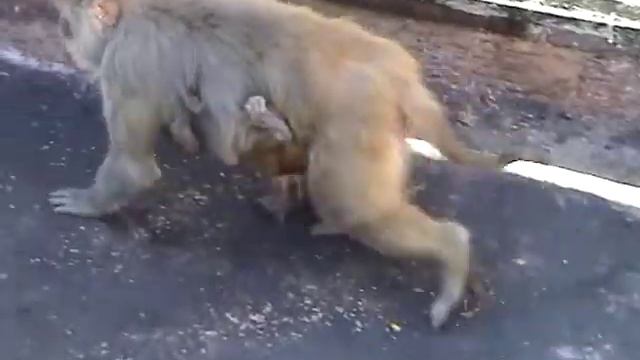 Бутылка.mpg смотреть онлайн