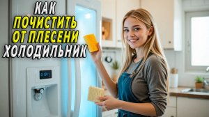 Как почистить холодильник от плесени