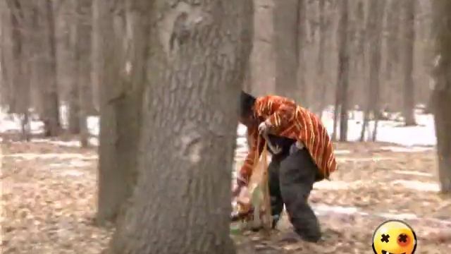 Calambur. Our Appetiser 11 / Каламбур. Наш Апперетивчик смотреть онлайн