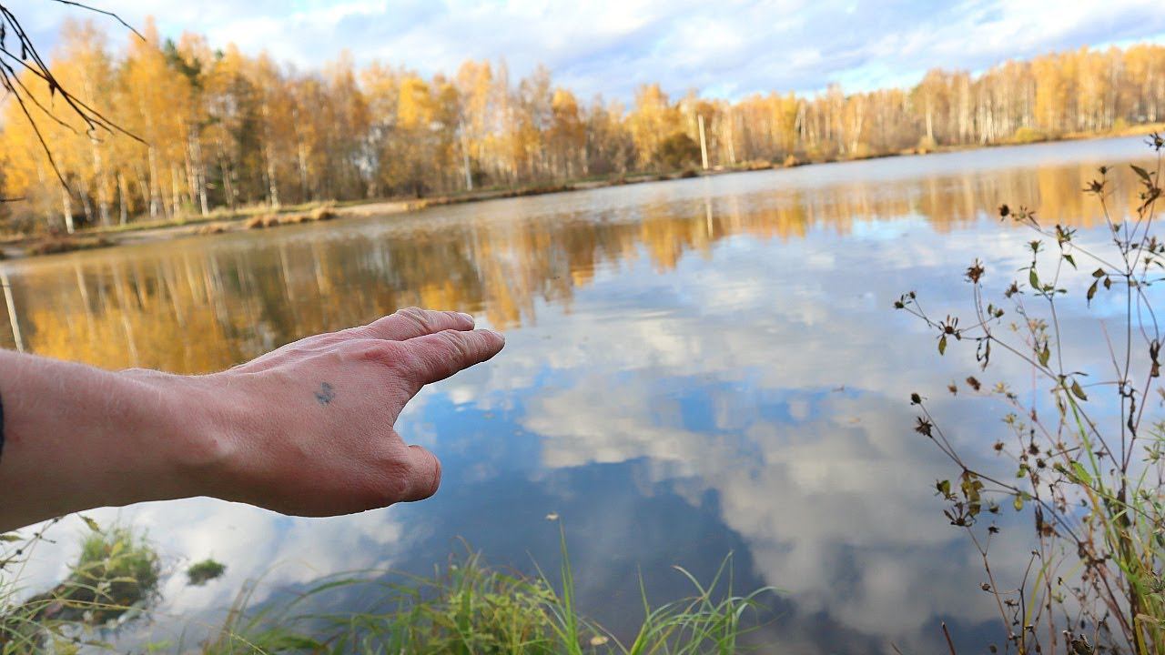 Почему в октябре-ноябре не клюет карась лещ и плотва? Расскажу куда уплывает рыба и как ее найти. смотреть онлайн