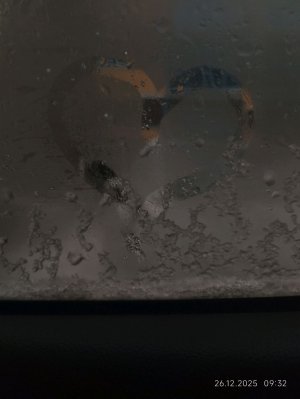 я создала ТГК, ищите меня по ссылке.  сылка: lukysa335