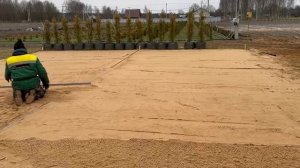 Реалити-шоу «Будни начинающего питомниковода» – Дела в питомнике в декабре. Часть 30.