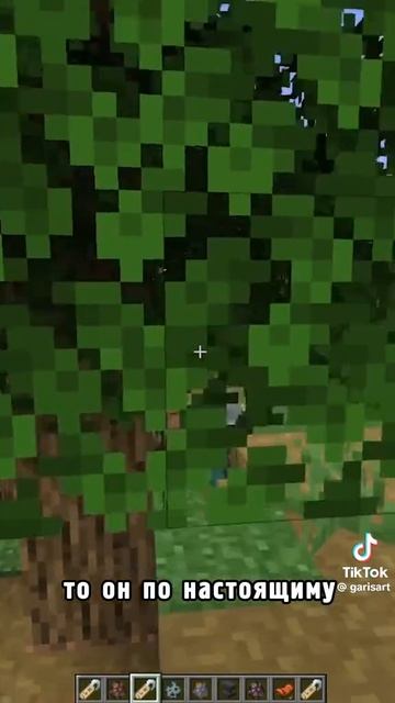 Интересные факты в майнкрафт