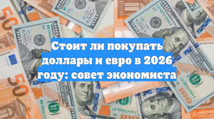 Стоит ли покупать доллары и евро в 2026 году: совет экономиста