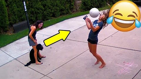 ПРИКОЛЫ С ЖИВОТНЫМИ ДО СЛЕЗ Смешные КОТЫ 2021 Приколы с КОТАМИ Funny ANIMALS video #22 смотреть онлайн