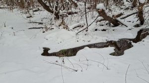 В колодец за водой !!