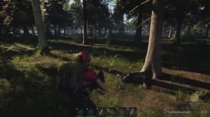 No One Survived
