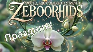 Новый Магазин ZEBOORHIDS! День Рождения и Большой Праздник Орхидей.