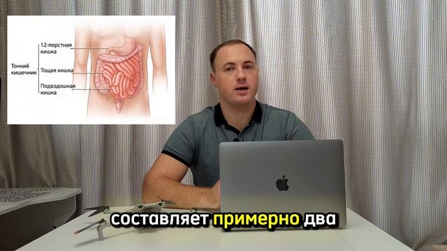 Человеческая тонкая кишка