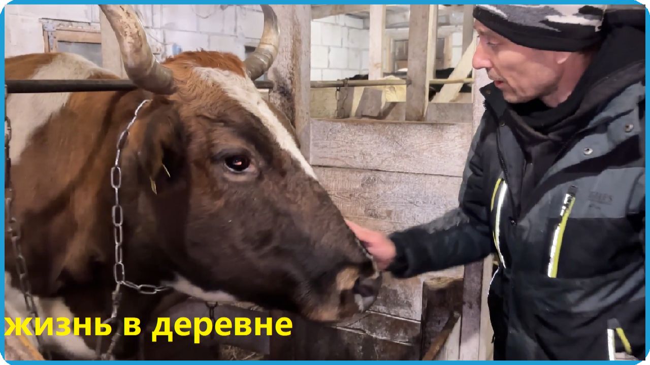 ЧТО НЕ ДЕЛАЕТСЯ, ВСЁ К ЛУЧШЕМУ, ПЕРВЫЙ ОТЁЛ КОРОВЫ В ЭТОМ СЕЗОНЕ, ЖИЗНЬ В ДЕРЕВНЕ смотреть онлайн