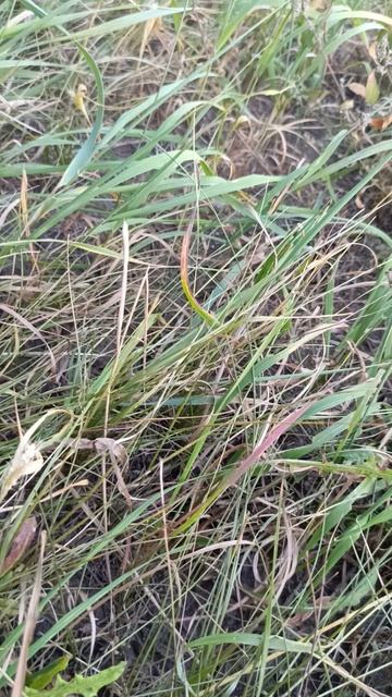 все наше время река 2