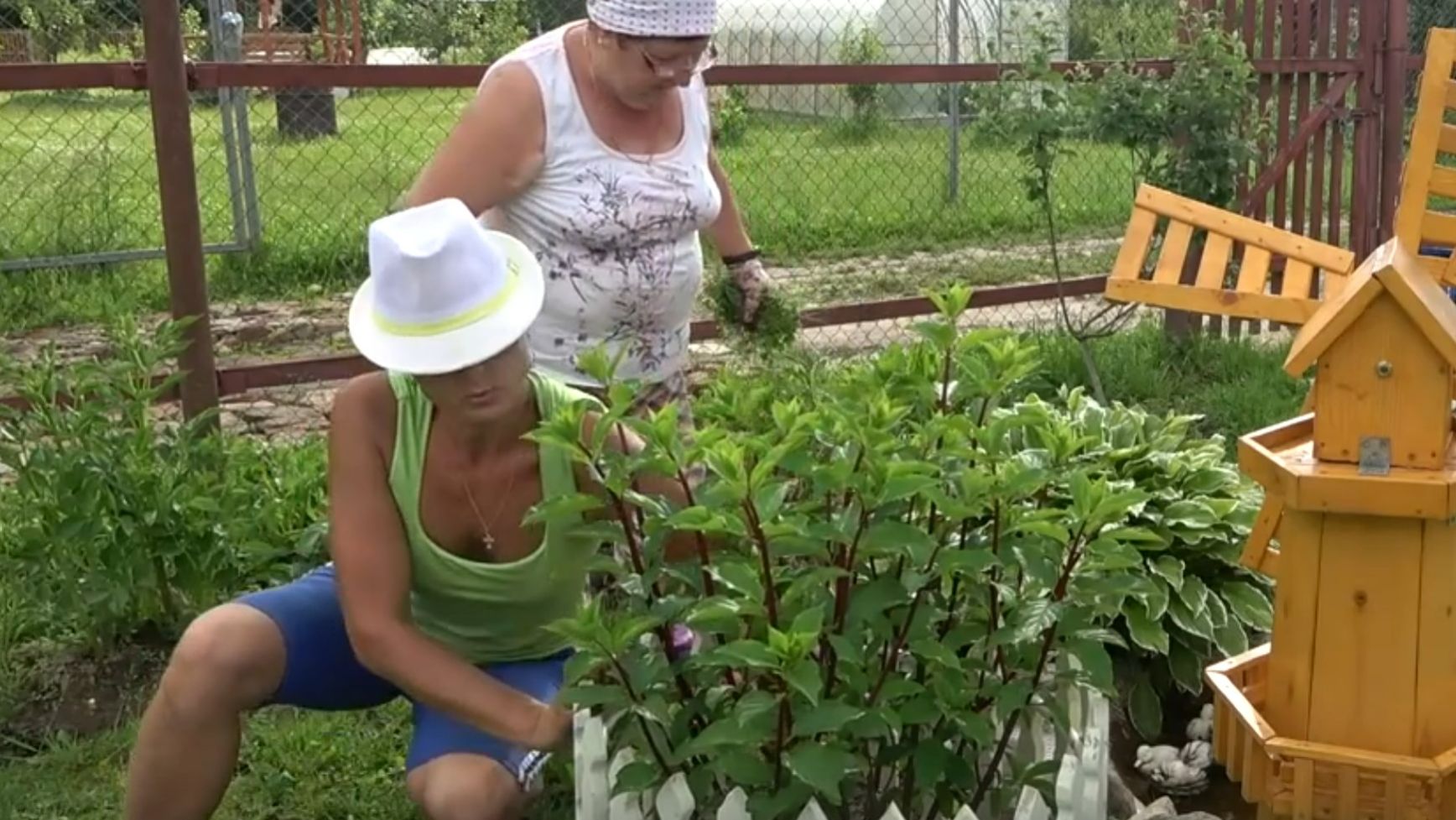 6 соток 15 июня 2021 года. Хроника. смотреть онлайн