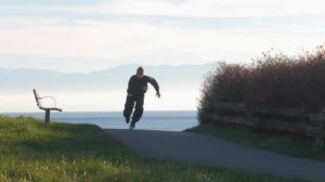 Stuart Brattey | All My Friends Do Mushrooms