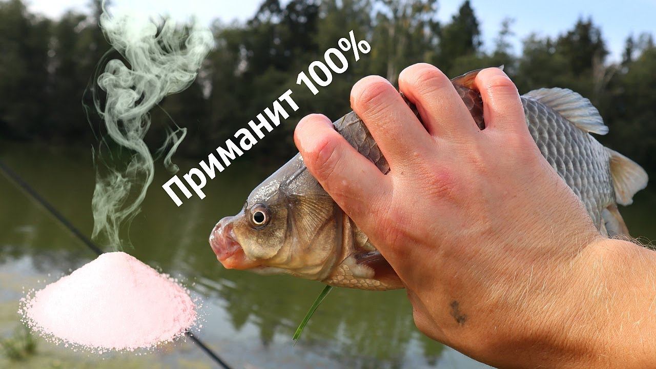 Секрет раскрыт! Этот запах карась чует летом за километр! Какой запах лучше приманивает карася? смотреть онлайн