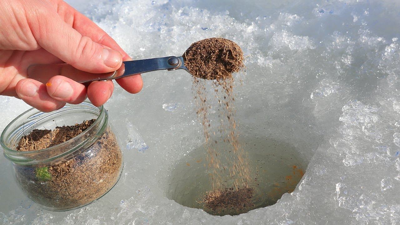 Прикормку больше не покупаю! Сыплю это в лунку! Бель сплывается под с огромного радиуса смотреть онлайн