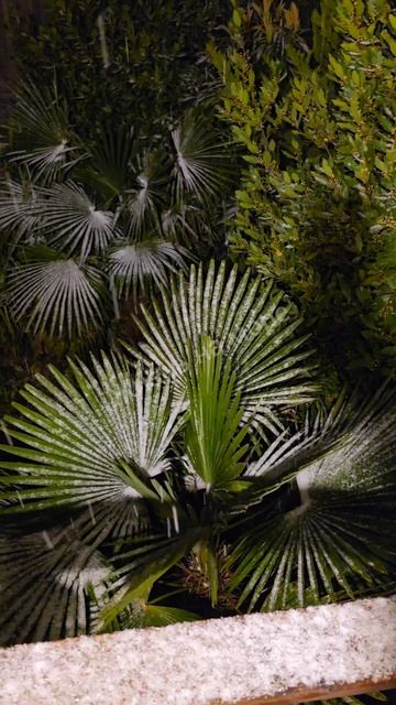 Вот и в Геленджик пришла атмосфера Нового года Прямо сейчас ☃️ смотреть онлайн