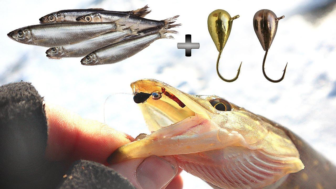 Панацея от бесклёвья! Как наловить мешок щуки зимой на обычную мормышку+килька смотреть онлайн