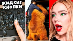 Вещи, которые вы НЕ должны были увидеть…