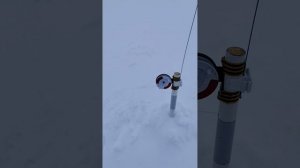 Закрытия уходящего рыболовного сезона рыбалки 2025 года.