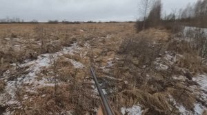 Охота с Добычем 25.12.2025.