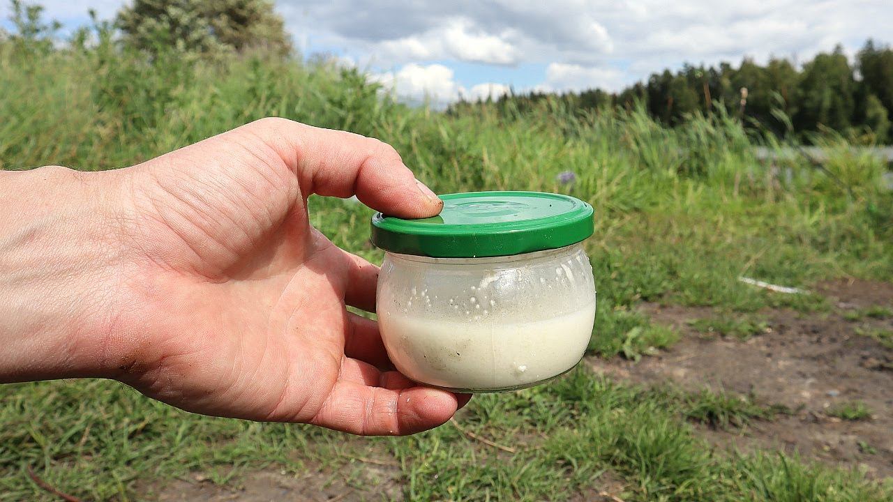 Кокон для червей из манки. Уникальный способ отсечь мелочь и ловить всегда только крупную рыбу. смотреть онлайн